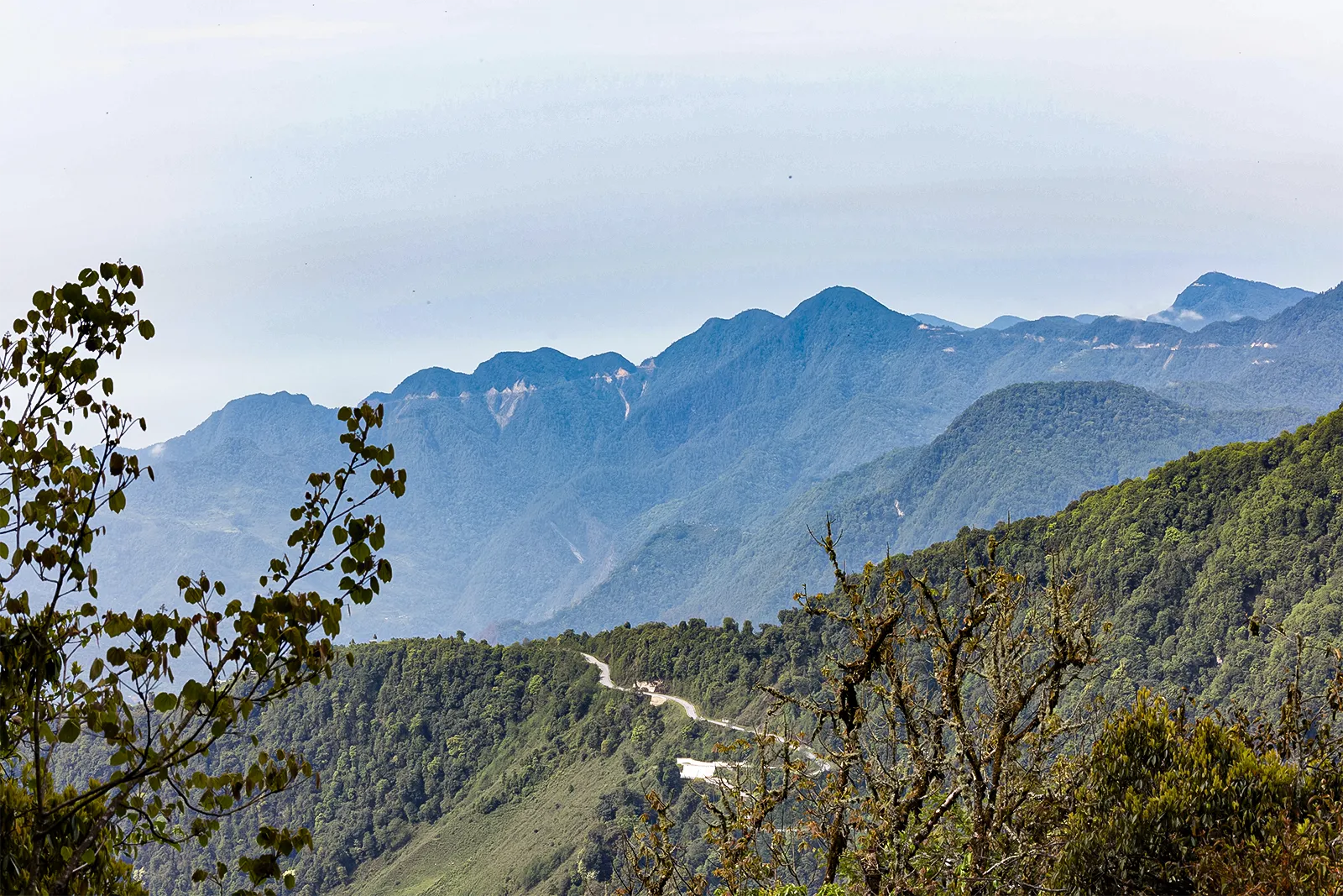 The Laya Gasa Trek - Combining Nature and Tradition